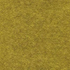 Song