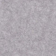 Voice