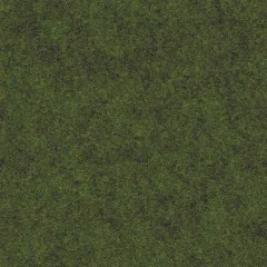 Vocal