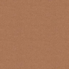 Loop