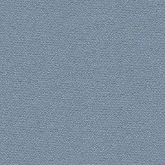 Blue Dolphin